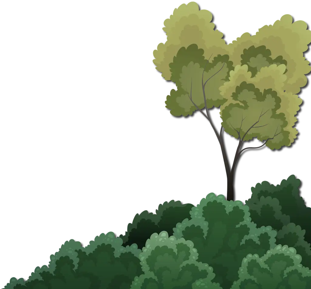 ShrubAndTreeRT 1024x954